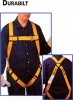 Durabilt Full-Body Harness