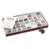 "Rock Kit - Washington School Collection"