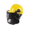 "Safety Helmet Forestry Kit - Helmet, Visor and Earmuffs"